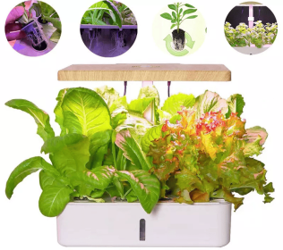 Hydroponics System Box Intelligent Full Spectrum Grow Light Mini Green Garden Plant Vegetable / Flower / Fruit