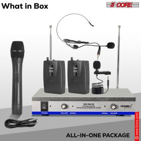 5 Core Wireless Microphone Dual Handheld Mic Cordless Receiver Dj Karaoke Singing Microphones WM 301 HC