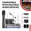 5 Core Wireless Microphone Dual Handheld Mic Cordless Receiver Dj Karaoke Singing Microphones WM 301 HC